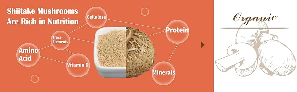 Organic Shiitake Mushroom Powder Organic Shiitake Mushroom Powder
