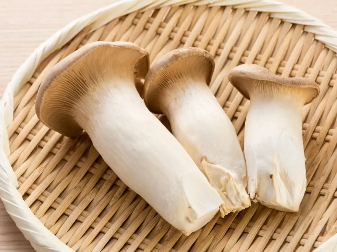 Organic King Trumpet Mushroom Powder Organic King Trumpet Mushroom Powder