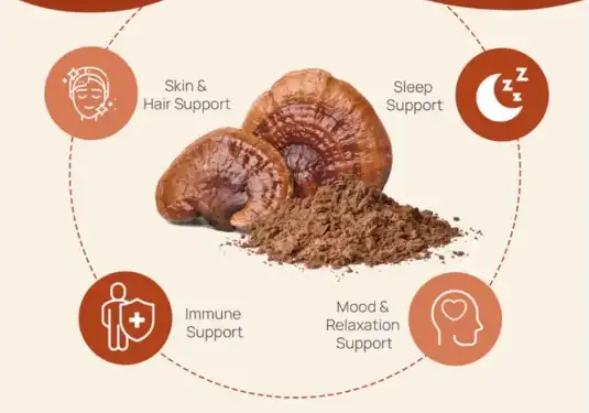 organic-reishi-powder organic-reishi-powder