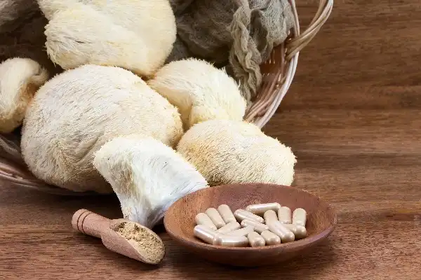 lions-mane-mushroom-supplements-Wellgreen lions-mane-mushroom-supplements-Wellgreen