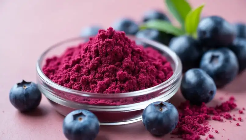 blueberry-extract-powder blueberry-extract-powder
