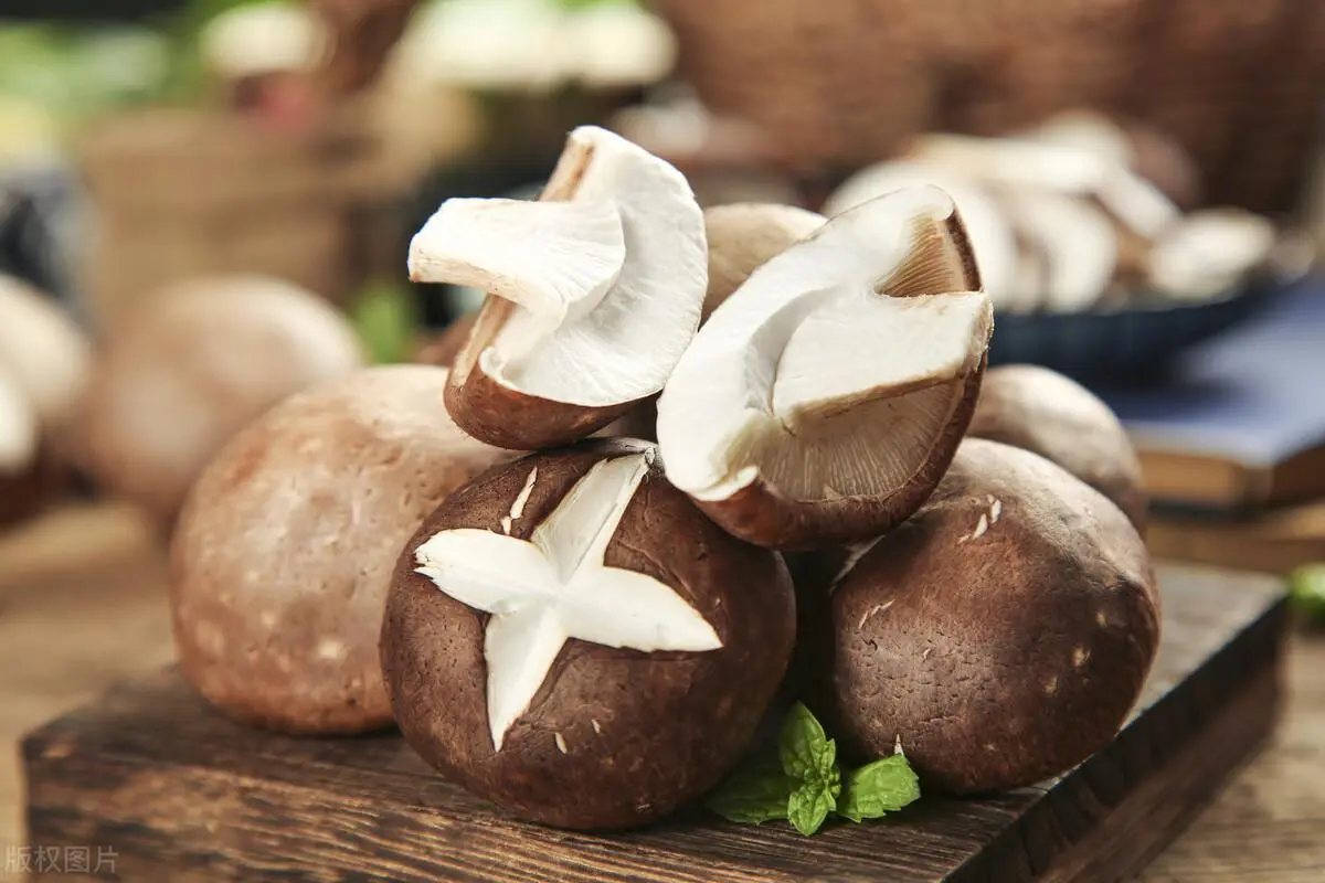 organic-shiitake-powder organic-shiitake-powder