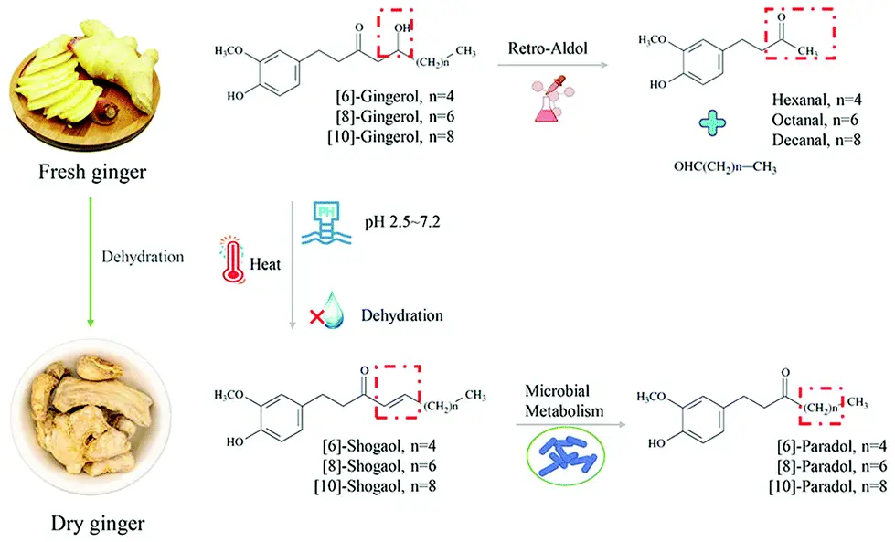 health benefits associated with ginger and its bioactive components health benefits associated with ginger and its bioactive components