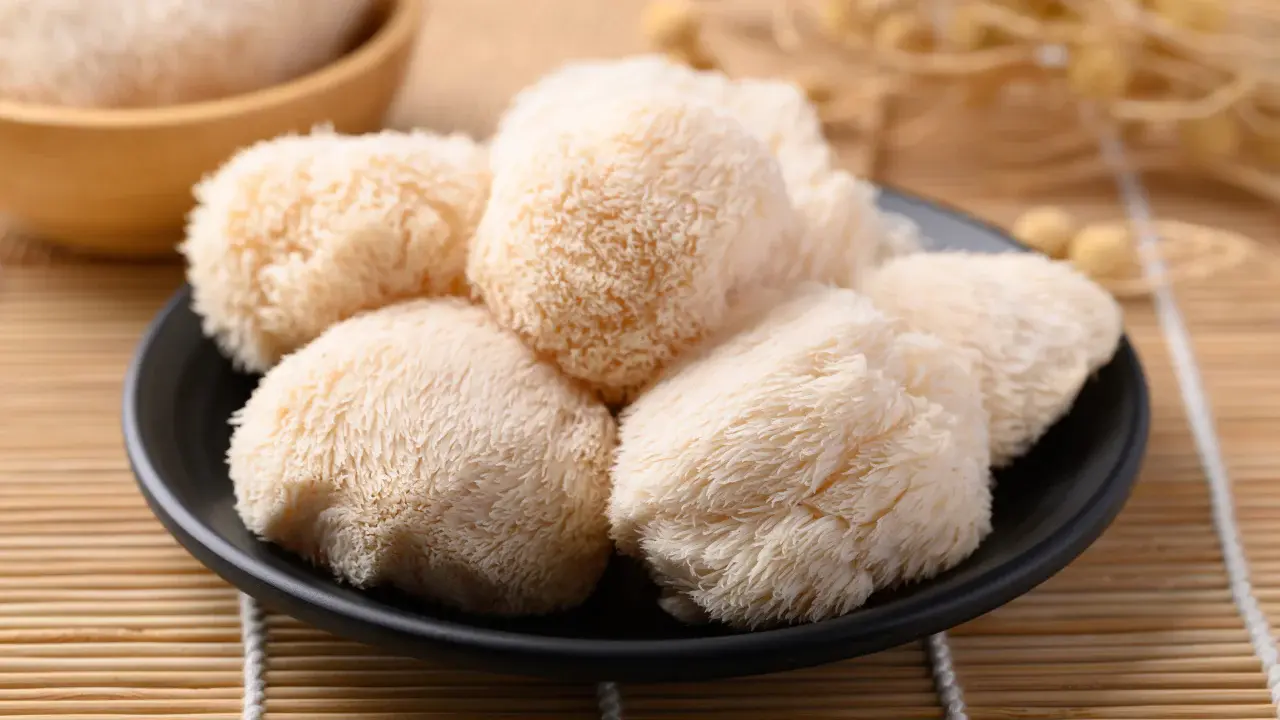 lion-s-mane-mushroom-extract-powder lion-s-mane-mushroom-extract-powder
