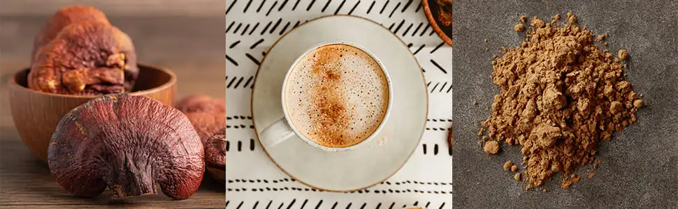 organic-reishi-powder organic-reishi-powder