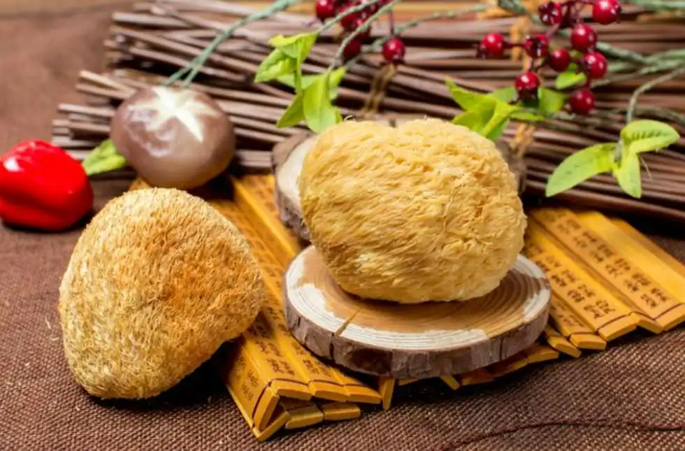 Lions mane mushroom extract powder Lions mane mushroom extract powder