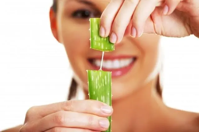 Aloe vera gel freeze dried powder Aloe vera gel freeze dried powder