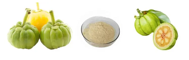 Garcinia cambogia extract Garcinia cambogia extract