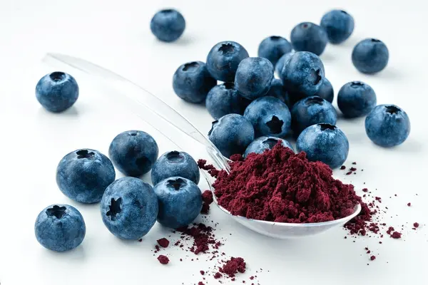 blueberry-extract-powder blueberry-extract-powder