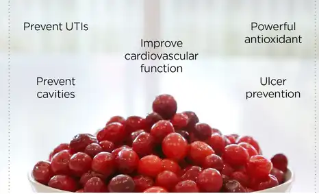 cranberry-extract-powder-benefits cranberry-extract-powder-benefits