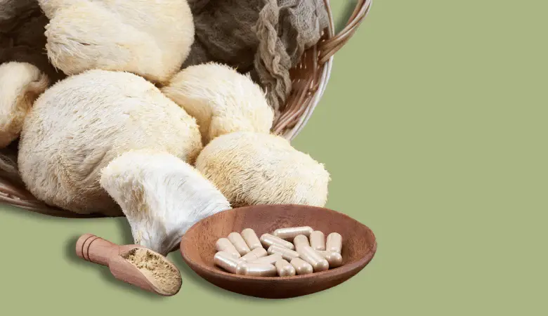 What to Look for When Sourcing Bulk Lion's Mane Powder What to Look for When Sourcing Bulk Lion's Mane Powder