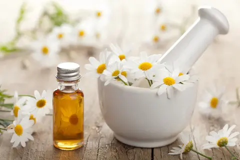Chamomile extract powder for sleep Chamomile extract powder for sleep