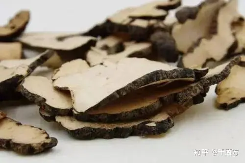 polyporus powder polyporus powder