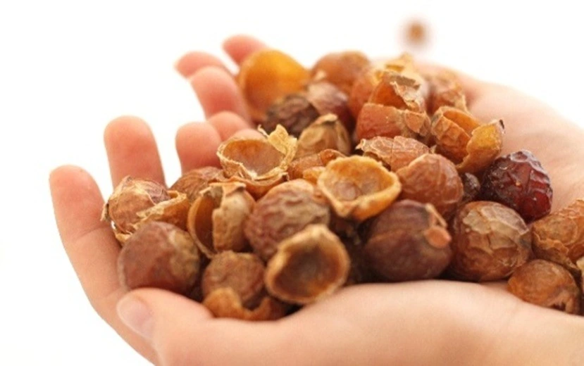Soapnut extract uses Soapnut extract uses