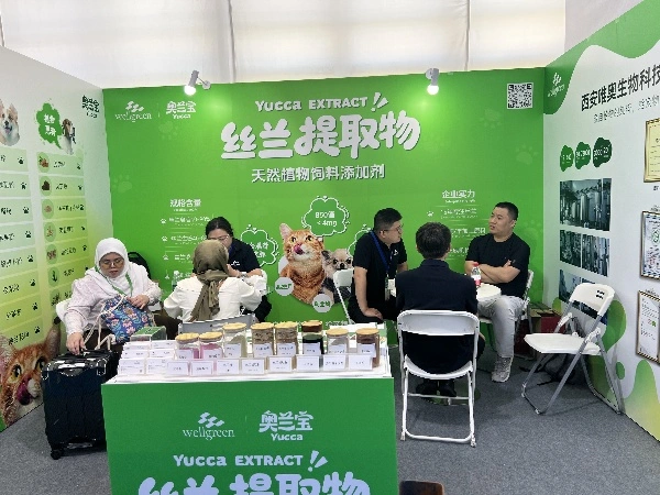 news-496-372 news-496-372