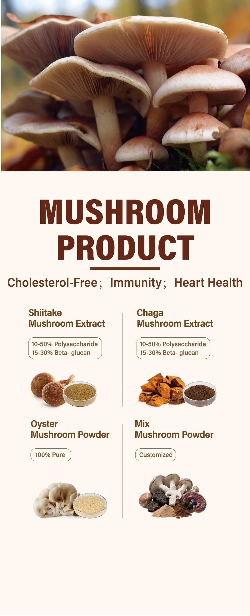 news-382-382 news-382-382