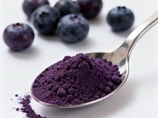 bilberry fruit extract powder bilberry fruit extract powder