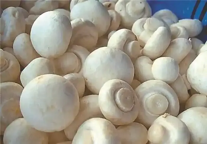 denismatic158@gmail.com denismatic158@gmail.com