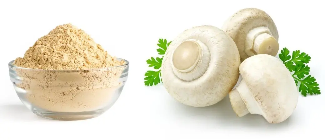 Can Agaricus Bisporus Powder Help with Weight Loss Can Agaricus Bisporus Powder Help with Weight Loss