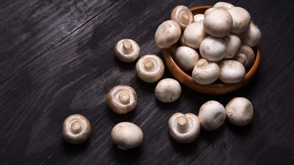 Agaricus Bisporus Powder Agaricus Bisporus Powder