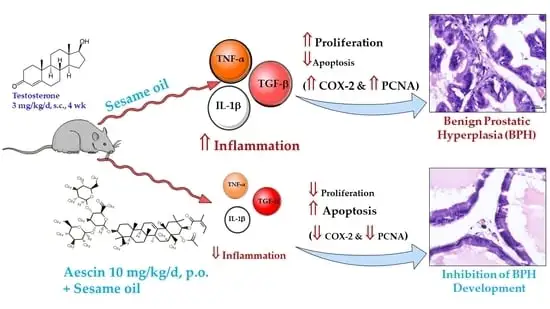 Mechanisms of Aescin in Reducing Inflammation Mechanisms of Aescin in Reducing Inflammation