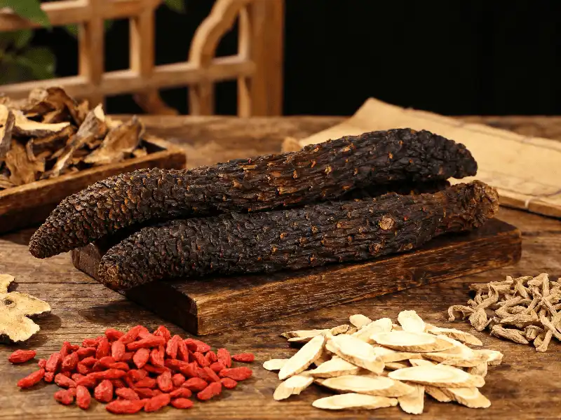 Cistanche extract powder Cistanche extract powder