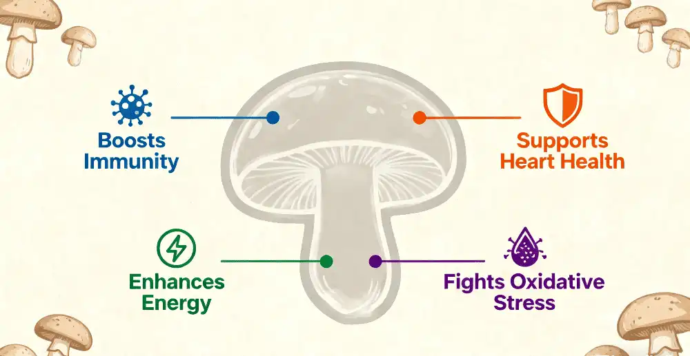 Shiitake mushroom extract benefits Shiitake mushroom extract benefits