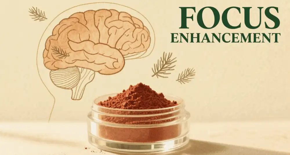 Organic Matcha Powder benefits Organic Matcha Powder benefits