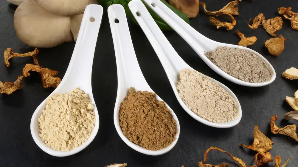 Maitake mushroom extract powder Maitake mushroom extract powder