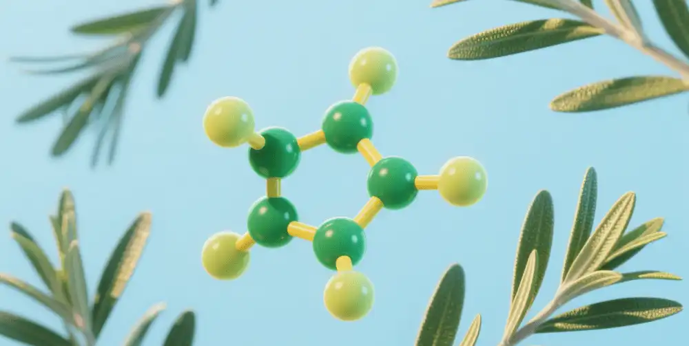 What Antioxidant Compounds Are Present in Rosemary What Antioxidant Compounds Are Present in Rosemary