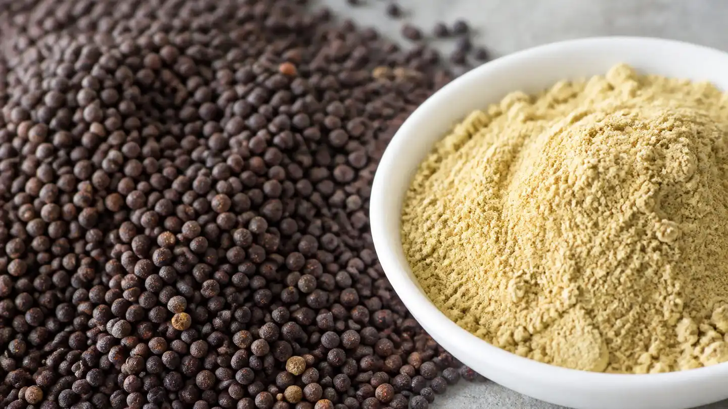 blog-500-1 Broccoli seeds beside a sample of pale yellow seed extract powder