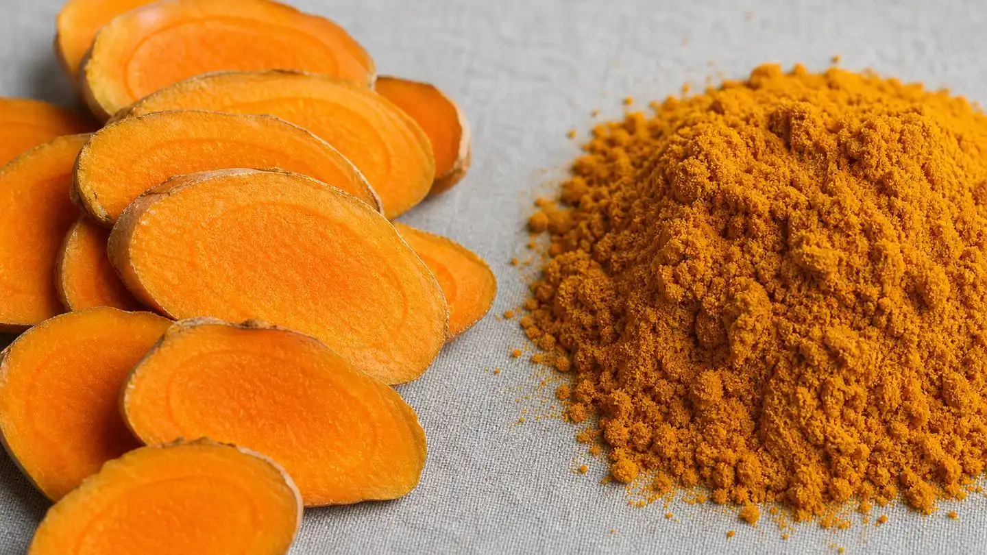 blog-500-1 Turmeric rhizome slices beside a mound of finely milled turmeric powder on a neutral surface