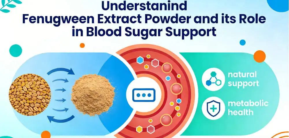 Understanding Fenugreek Extract Powder and Its Role in Blood Sugar Support Understanding Fenugreek Extract Powder and Its Role in Blood Sugar Support