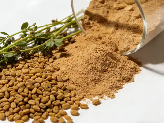 Fenugreek extract powder Fenugreek extract powder