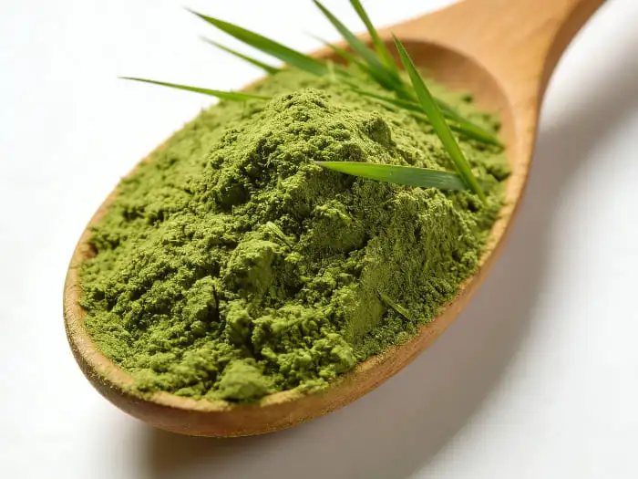 organic barley grass powder organic barley grass powder