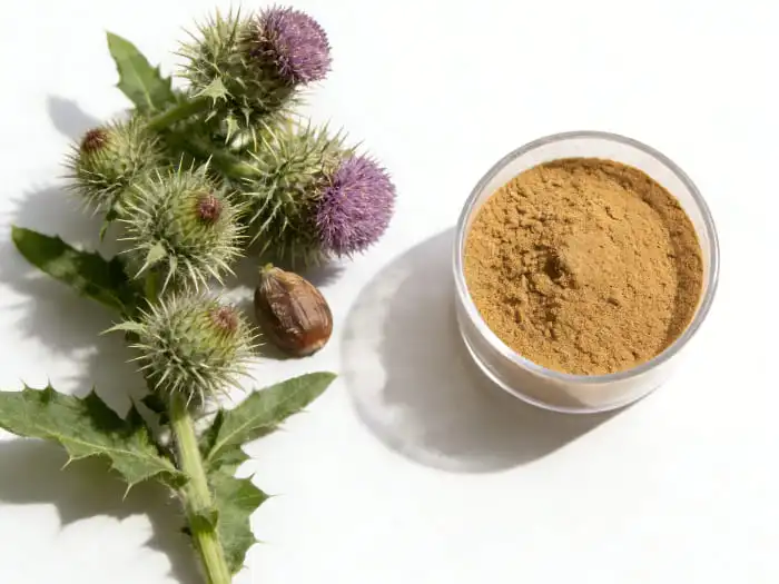 milk thistle extract powder milk thistle extract powder