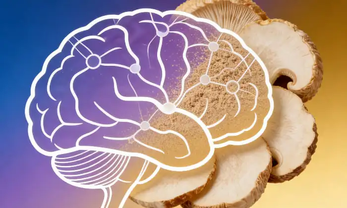 The Brain and Nerve Health Benefits of Organic Hericium Erinaceus Powder The Brain and Nerve Health Benefits of Organic Hericium Erinaceus Powder