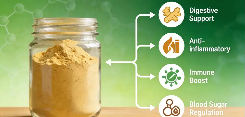 Proven Health Benefits of Organic Ginger Powder Proven Health Benefits of Organic Ginger Powder