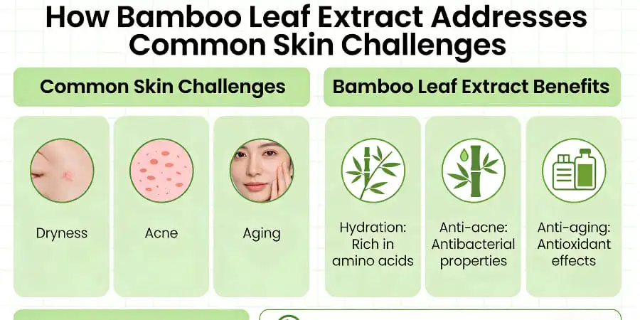 How Bamboo Leaf Extract Addresses Common Skin Challenges How Bamboo Leaf Extract Addresses Common Skin Challenges