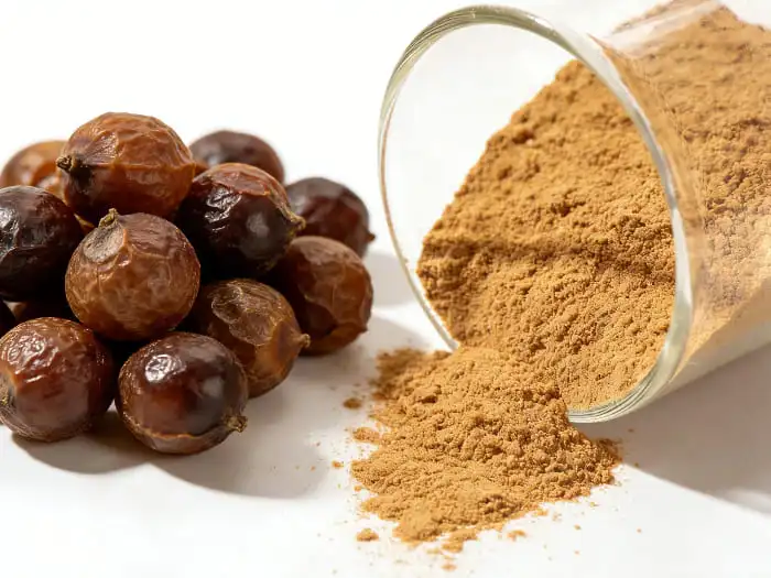 soapnut extract soapnut extract
