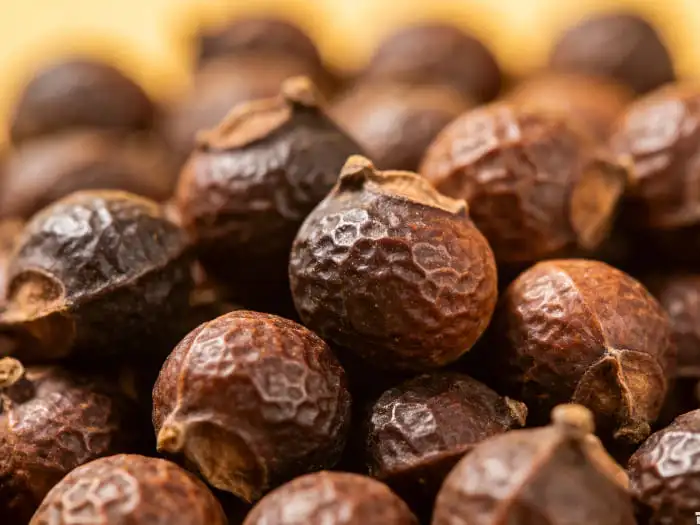 Soapnut extract Soapnut extract