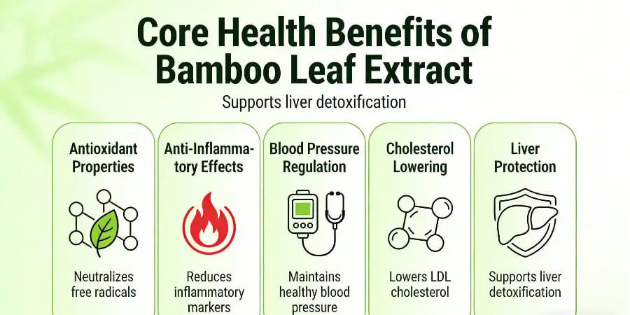 Core Health Benefits of Bamboo Leaf Extract Core Health Benefits of Bamboo Leaf Extract
