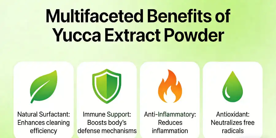 The Multifaceted Benefits of Yucca Extract Powder The Multifaceted Benefits of Yucca Extract Powder