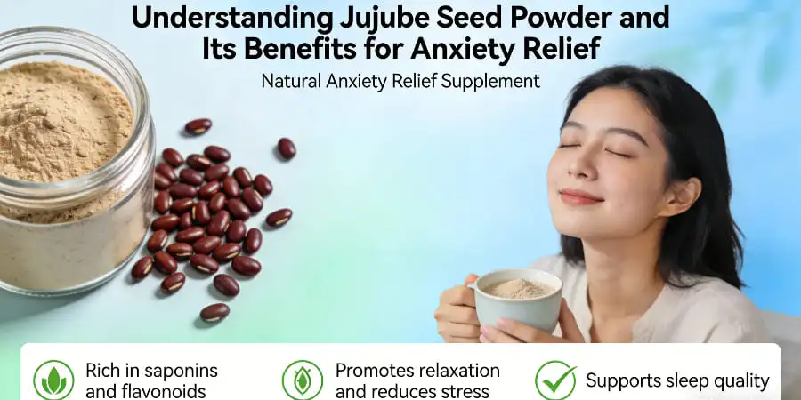 Understanding Jujube Seed Powder and Its Benefits for Anxiety Relief Understanding Jujube Seed Powder and Its Benefits for Anxiety Relief