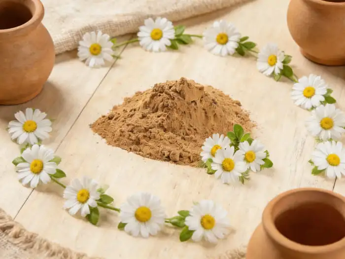 Chamomile extract powder Chamomile extract powder