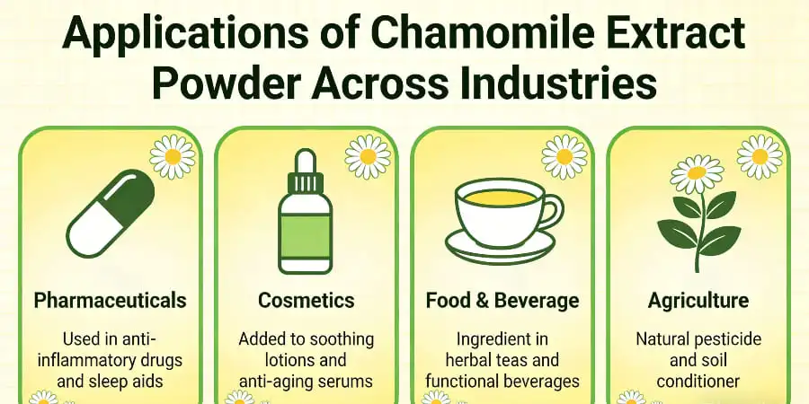Applications of Chamomile Extract Powder Across Industries Applications of Chamomile Extract Powder Across Industries