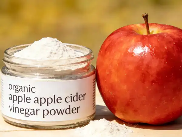 organic apple cider vinegar powder organic apple cider vinegar powder