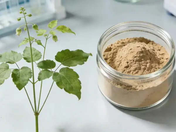 epimedium extract powder epimedium extract powder
