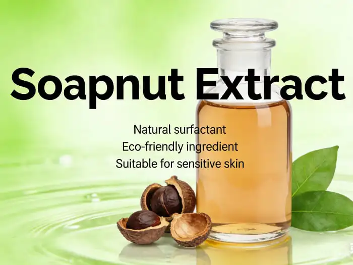 Soapnut extract Soapnut extract