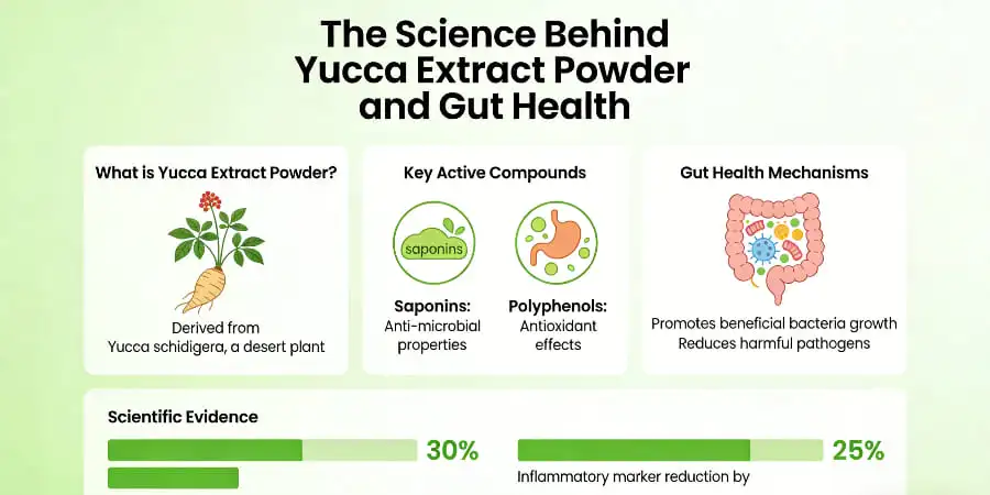 The Science Behind Yucca Extract Powder and Gut Health The Science Behind Yucca Extract Powder and Gut Health